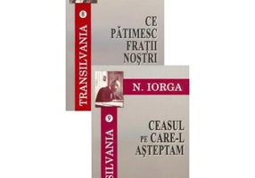 Ce patimesc fratii nostri. Ceasul pe care-l asteptam, volumele 8-9 - Nicolae Iorga