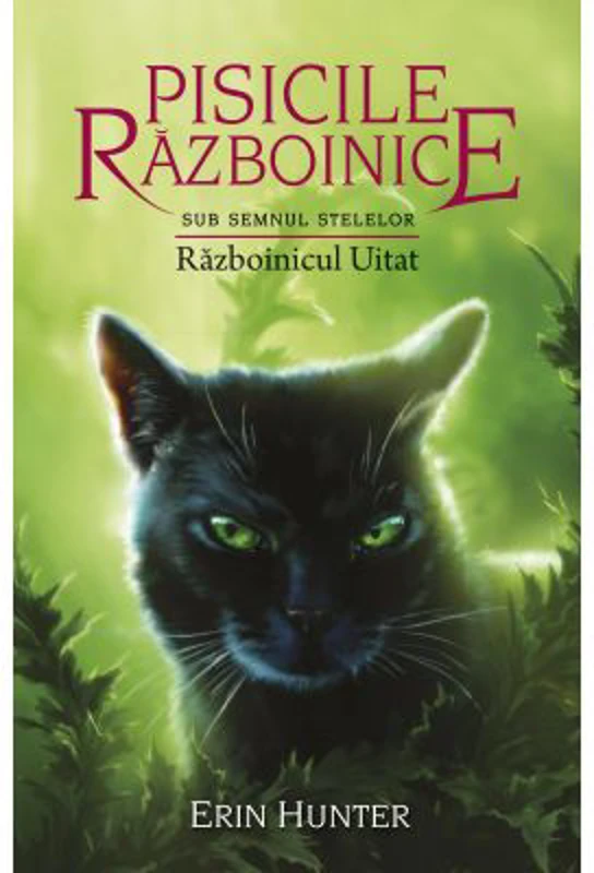 Pisicile Razboinice. Cartea 23. Razboinicul Uitat - Erin Hunter
