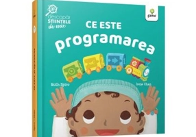 Ce este programarea