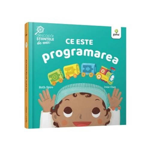 Ce este programarea