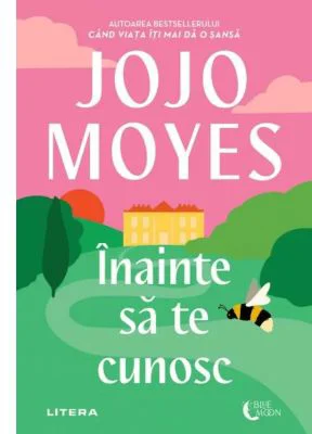 Inainte sa te cunosc