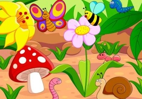 Natura (KP-006) - 30 x 40