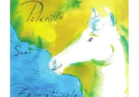 Palariile sunt exceptionale