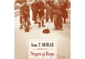 Negru si Rosu - Ioan T. Morar