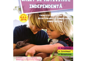 Caiet de activitate independenta, pentru clasa a 2-a - Liliana Ioan
