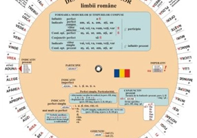 Discheta verbelor limbii romane - Camelia Stan