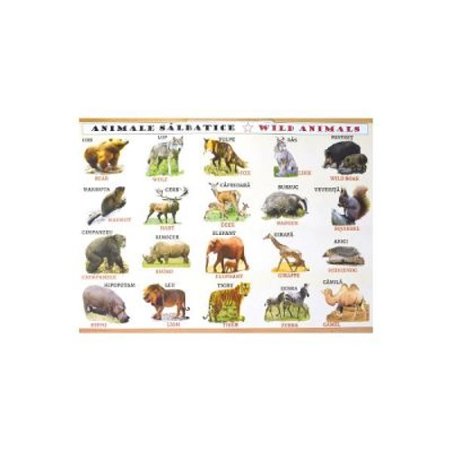 Plansa: Animale domestice - Animale salbatice