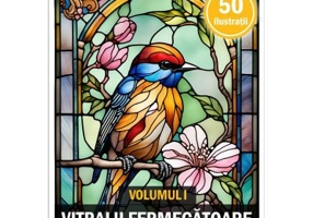 Carte de colorat pentru adulti, 50 de ilustratii, Vitralii Fermecatoare, Volumul 1
