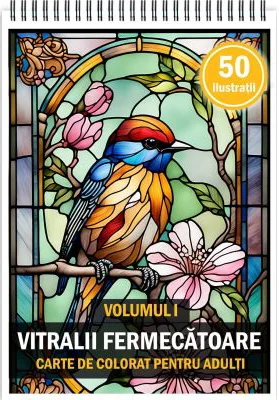 Carte de colorat pentru adulti, 50 de ilustratii, Vitralii Fermecatoare, Volumul 1