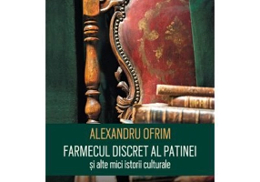 Farmecul discret al patinei si alte mici istorii culturale