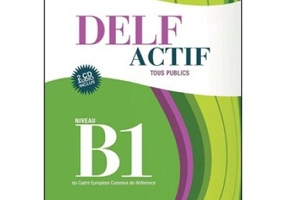 DELF Actif B1 Tous Publics. Guide