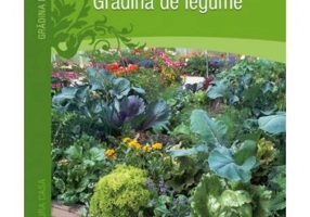 Gradina de legume - Helga Voit