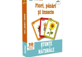 Flori, pasari si insecte. Stiinte naturale