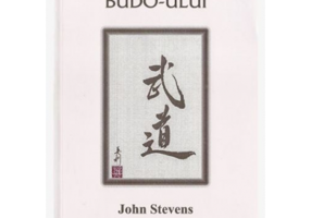 Secretele Budo-ului