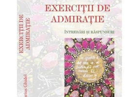 Exercitii de admiratie. Intrebari si raspunsuri - Marius Ghidel