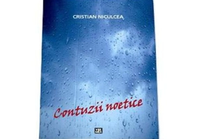 Contuzii noetice - Cristian Niculcea