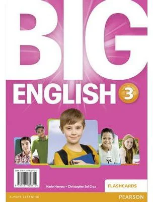 Big English 3 Flashcards