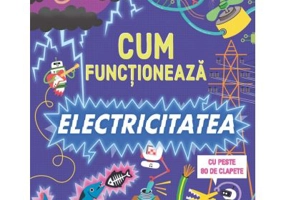 Cum functioneaza electricitatea (Usborne)