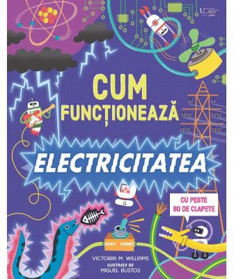 Cum functioneaza electricitatea (Usborne)