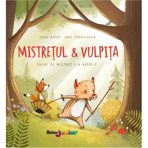 Mistretul &amp; vulpita. Puiul de mistret s-a ratacit - Anna Bohm, Imke Sonnichsen