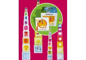 Citeste si construieste. Carte si cuburi de construit