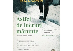 Astfel de lucruri marunte - Claire Keegan