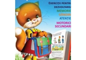 Lectii amuzante. 5+ Exercitii pentru dezvoltarea memoriei, gandirii, atentiei, motricii secundare