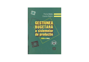 Gestiunea bugetara a sistemelor de productie. Editia a II-a - Cosmin Dobrin, Florica Badea