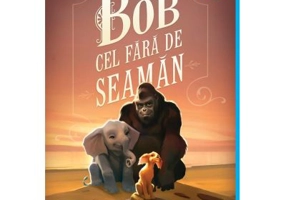 Bob cel Fara de Seaman - Katherine Applegate