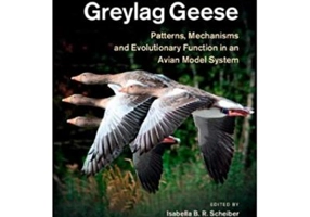 The Social Life of Greylag Geese: Patterns, Mechanisms and Evolutionary Function in an Avian Model System - Isabella B. R. Scheiber, Brigitte M. Weib,