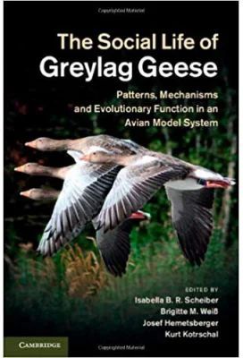 The Social Life of Greylag Geese: Patterns, Mechanisms and Evolutionary Function in an Avian Model System - Isabella B. R. Scheiber, Brigitte M. Weib,