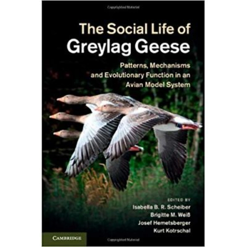 The Social Life of Greylag Geese: Patterns, Mechanisms and Evolutionary Function in an Avian Model System - Isabella B. R. Scheiber, Brigitte M. Weib,