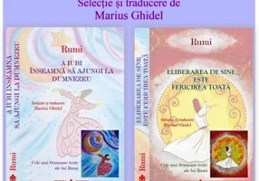Pachet 2 carti. Rumi Cele mai frumoase texte. Selectie si traducere de Marius Ghidel
