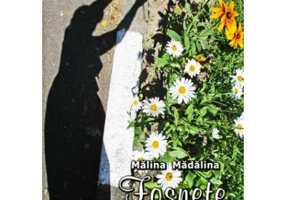 Fosnete - Malina Madalina