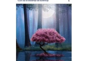 Vindeca-ti ranile din familie. Cum sa te eliberezi de suferinta - Juliette Allais