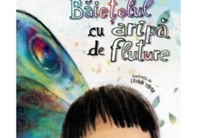 Baietelul cu aripa de fluture - Ioana Chicet-Macoveiciuc