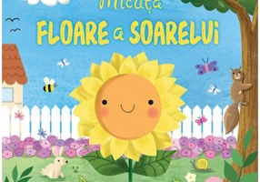 Micuta floare a soarelui