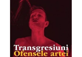 Transgresiuni. Ofensele artei - Anthony Julius