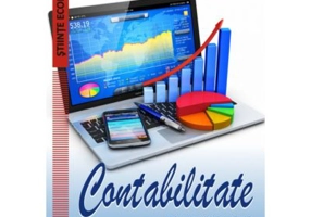 Contabilitate - Doina Maria Tilea
