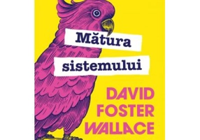 Matura sistemului - David Foster Wallace