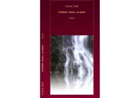 Celalalt, hotar cu mine - Codrut Radi