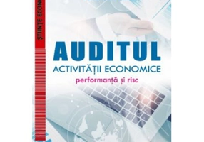 Auditul activitatii economice. Performanta si risc - Doina Maria Tilea