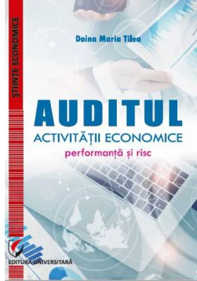 Auditul activitatii economice. Performanta si risc - Doina Maria Tilea