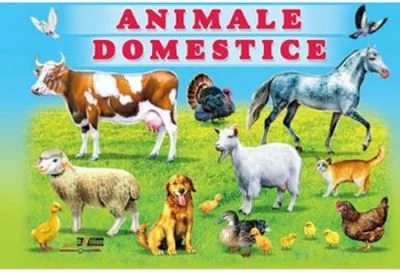 Animale domestice﻿ - Titus Stirbu