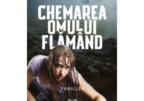 Chemarea Omului Flamand - Kyle Perry