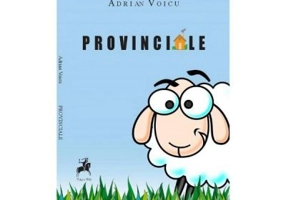 Provinciale - Adrian Voicu