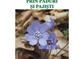 Primavara prin paduri si pajisti - Stefania Udrea, Daniela Dosa