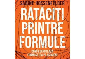 Rataciti printre formule - Sabine Hossenfelder
