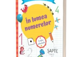 In lumea numerelor. Caiet de activitati