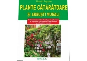 Plante cataratoare si arbusti murali - David Squire